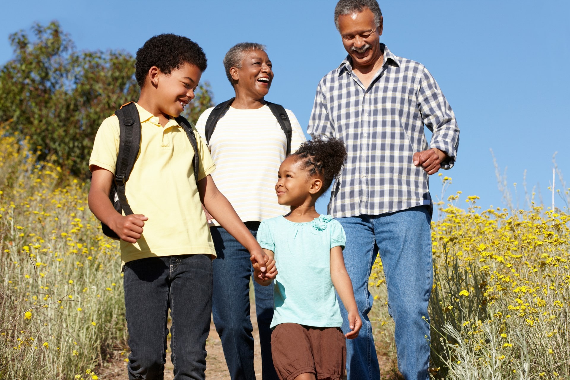 Family hiking together on sunny nature trail